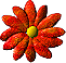 1996 flower.gif (4 KB) The original flower