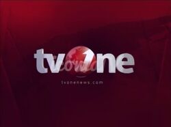 TV One, Logopedia