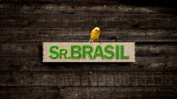 Sr.brasil2010