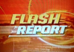 Flashreport2004