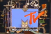 MTV1994