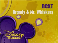 Brandy & Mr. Whiskers