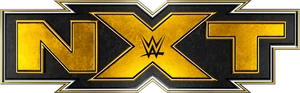 NXT 2019--2b967d83b5c984deb297bb44180c54a6