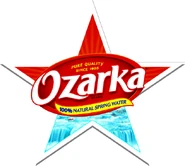 Version of the logo with an added star.