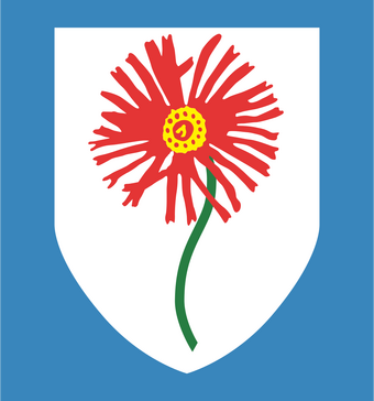 Blue Bulls Logopedia Fandom