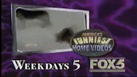 "America's Funniest Home Videos" promo (October 15, 1995)