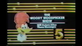 The Woody Woodpecker Show bumper