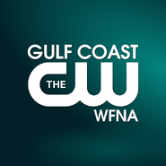 WFNA (2017, white logo in cyan bg)