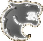 Neon logo used for the PGL Major: Stockholm 2021