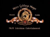 MGM Television Entertainment 2001