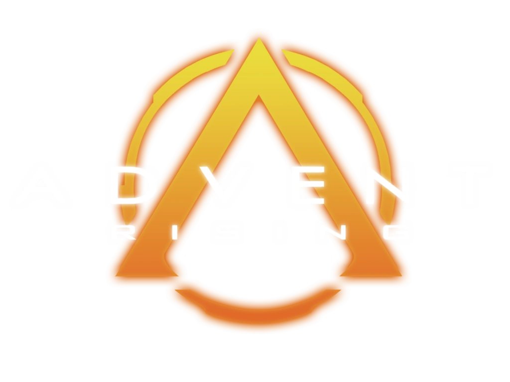 ディッキア Dyckia ‘Advent Rising’ ⑴ やや傷や汚れあり】ディッキア Dyckia 'Advent Rising' code No