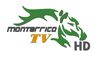 Monterrico TV HD (Logo).jpg