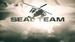 Seal Team logo