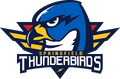 Springfield Thunderbirds