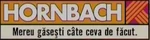 Logo with slogan (Romania)