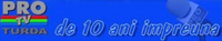 10th anniversary logo (2009)