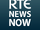 RTÉ News (TV channel)