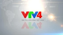 VTV4 (2020)