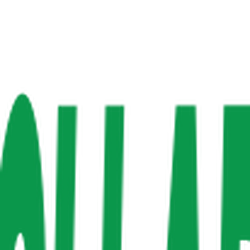 Download Category Dollars Logopedia Fandom