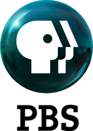 PBS 2009 logo vertical