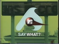 MTV Say What