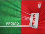 Promo bumper