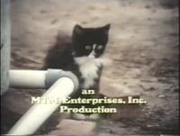 MTM logo Texas Wheelers.png (818 KB) On The Texas Wheelers, the scene has a black and white kitten looking from around a corner where there is a water pipe and meows (though not the same as Mimsie's meow). The company's name appears over the scene in the same font as the closing credits