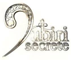 Iubiri secrete 2013