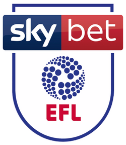 Detailed view of a Cardiff City badge during the Sky Bet