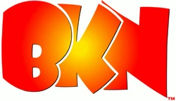 BKN logo