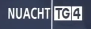 Nuacht TG4 2007