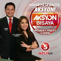 AksyonBisaya2013