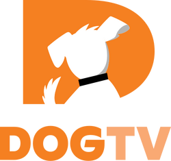 DOGTV 2021.svg