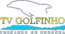 TV Golfinho 1998