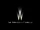 Lantern Entertainment/Trailer & Closing Variants