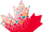 2021 Census of Population (Canada)