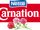 Carnation