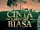 Cinta Laki-laki Biasa