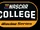 ENASCAR College iRacing Series