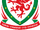 Football Association of Wales