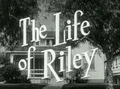 The Life of Riley
