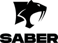 Saber Interactive