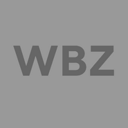 Program Bug (2023–2024)