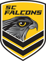 Sunshine Coast Falcons