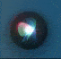 Idle animation (2020–present)