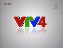 VTV4 (2013)