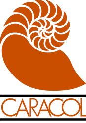 Caracol radio 1984 1987 vertical.png