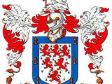 Warrington Wolves