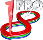 18th anniversary logo (2013)