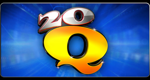 20Q